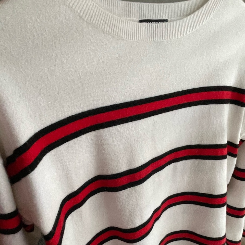 Express women sweater